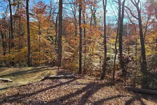 7613 Locust Ln, Fort Washington, MD 20744 - Photo 10