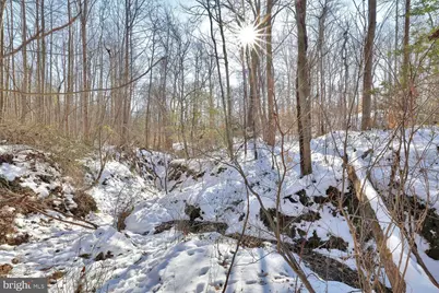 13729 Martin Road, Brandywine, MD 20613 - Photo 18