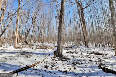 13729 Martin Road, Brandywine, MD 20613 - Photo 22