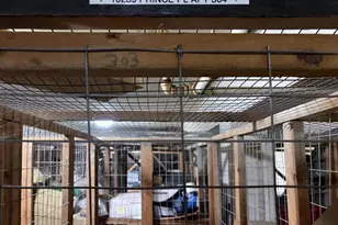 10239 Prince Pl, Upper Marlboro, MD 20774 - Photo 22