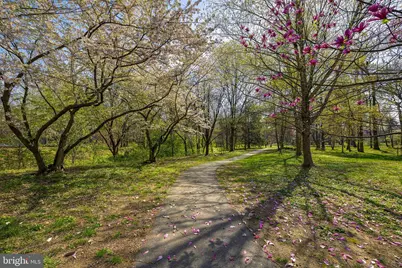 6506 43rd Avenue, Hyattsville, MD 20782 - Photo 32