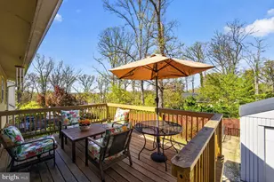 6220 Quebec Pl, Berwyn Heights, MD 20740 - Photo 8