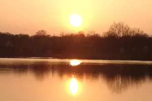 6220 Quebec Pl, Berwyn Heights, MD 20740 - Photo 30