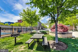 5656 46th Pl, Hyattsville, MD 20781 - Photo 46