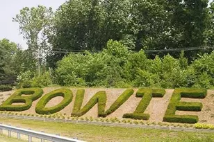 1800 Sycamore Heights Ct, Bowie, MD 20721 - Photo 34