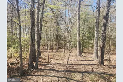 Tower Road, Brandywine, MD 20613 - Photo 4
