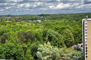 6100 Westchester Park Dr, College Park, MD 20740 - Photo 2