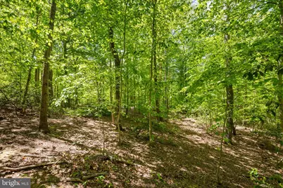Letcher Road E, Brandywine, MD 20613 - Photo 4