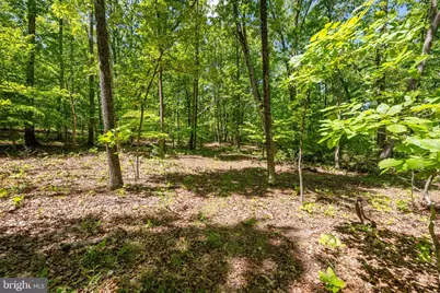 Letcher Road E, Brandywine, MD 20613 - Photo 6