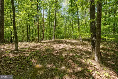 Letcher Road E, Brandywine, MD 20613 - Photo 2