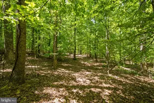 Letcher Road E, Brandywine, MD 20613 - Photo 1