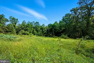 9310 Crandall Rd, Lanham, MD 20706 - Photo 12