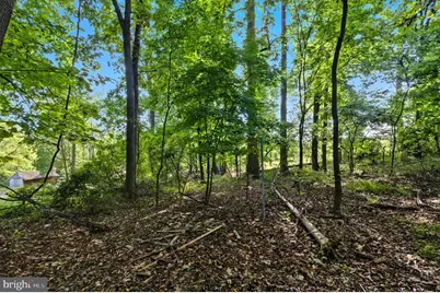 9310 Crandall Road, Lanham, MD 20706 - Photo 14