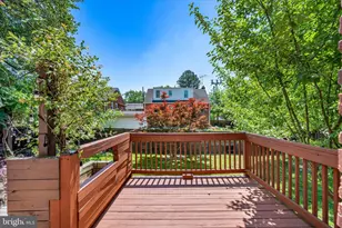 801 Cox Ave, Hyattsville, MD 20783 - Photo 42