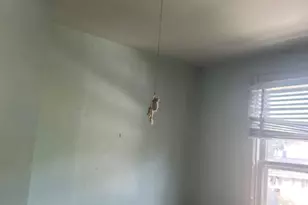 4112 33rd St, Mount Rainier, MD 20712 - Photo 4