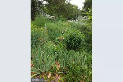 1714 61st, Landover, MD 20785 - Photo 8