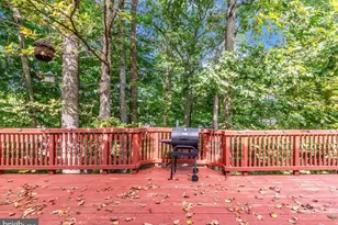 3004 Jaywick Ct, Fort Washington, MD 20744 - Photo 46