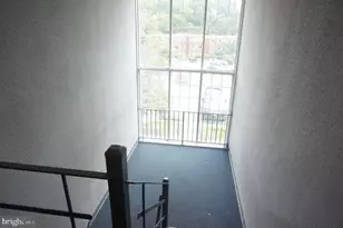 3825 Hamilton St, Hyattsville, MD 20781 - Photo 16