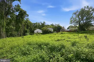 6907 Olson Rd, Takoma Park, MD 20912 - Photo 1