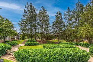 6932 Hanover Pkwy, Greenbelt, MD 20770 - Photo 20