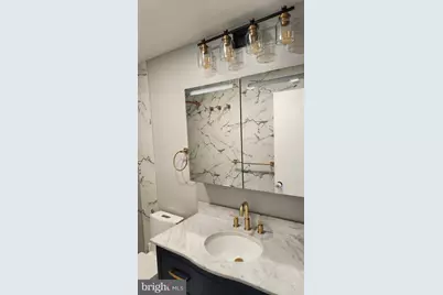 1602 Elson Street, Hyattsville, MD 20783 - Photo 26