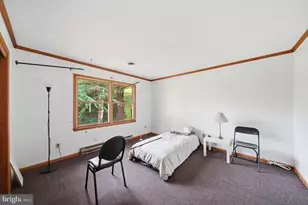 2512 Cool Spring Rd, Hyattsville, MD 20783 - Photo 18