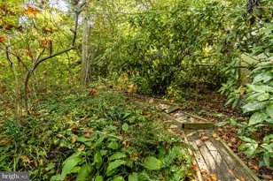 4323 Woodberry St, University Park, MD 20782 - Photo 60