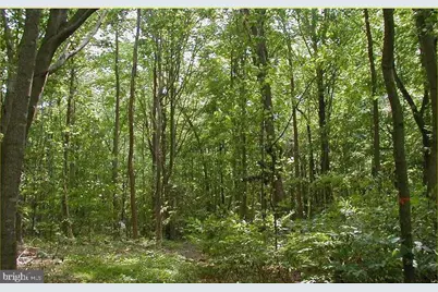 12223 Molly Berry Rd., Upper Marlboro, MD 20772 - Photo 16