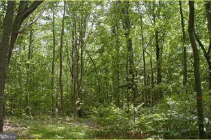 12223 Molly Berry Rd, Upper Marlboro, MD 20772 - Photo 16