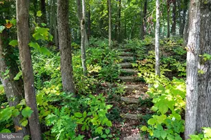 12612 Cedarbrook Ln, Laurel, MD 20708 - Photo 34