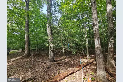 Sanford Drive, Accokeek, MD 20607 - Photo 10