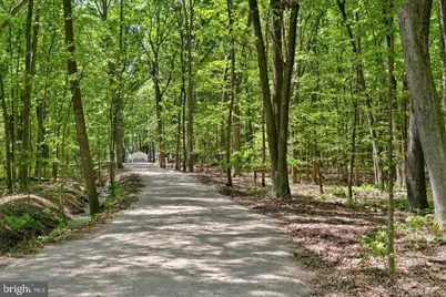 715 Winchester Creek Road, Grasonville, MD 21638 - Photo 8