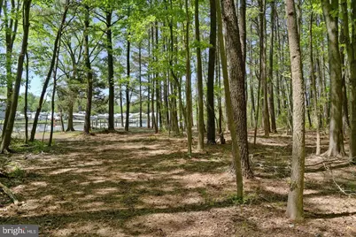 715 Winchester Creek Road, Grasonville, MD 21638 - Photo 16