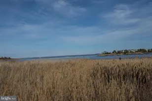 5 Piney Narrows Rd, Chester, MD 21619 - Photo 26