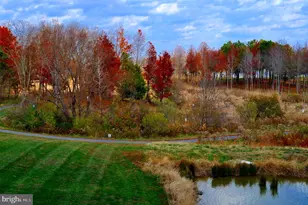 170 Harrier Wy, Chester, MD 21619 - Photo 74