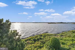 426 Narrows Pointe Dr, Grasonville, MD 21638 - Photo 62