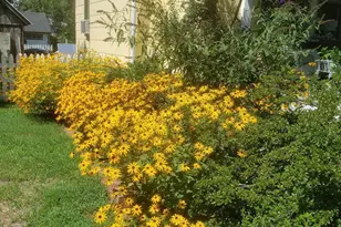 104 Windsor Ave, Centreville, MD 21617 - Photo 6