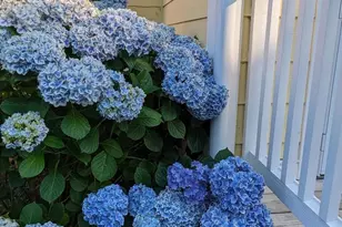 104 Windsor Ave, Centreville, MD 21617 - Photo 66