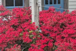 104 Windsor Ave, Centreville, MD 21617 - Photo 56