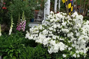 104 Windsor Ave, Centreville, MD 21617 - Photo 14