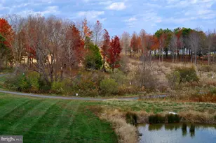 170 Harrier Wy, Chester, MD 21619 - Photo 74