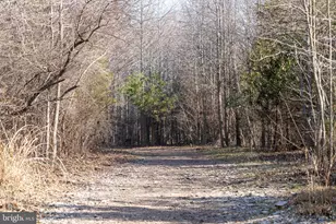 119 Liam Thomas Ln, Stevensville, MD 21666 - Photo 40