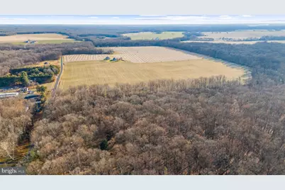 Hoffecker Road, Chestertown, MD 21620 - Photo 10