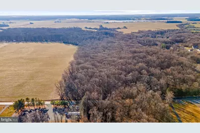 Hoffecker Road, Chestertown, MD 21620 - Photo 2