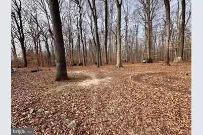 241 White Marsh Road, Centreville, MD 21617 - Photo 36