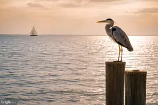 414 Bay Dr, Stevensville, MD 21666 - Photo 14