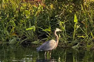 522 Narrows Pointe Dr, Grasonville, MD 21638 - Photo 70