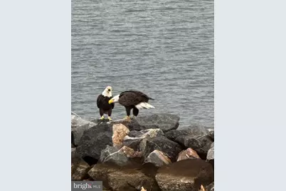 522 Narrows Pointe Drive, Grasonville, MD 21638 - Photo 68