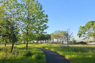 230 Switchgrass Wy, Chester, MD 21619 - Photo 62