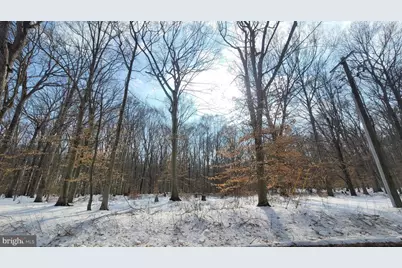 262 White Marsh Road, Centreville, MD 21617 - Photo 6